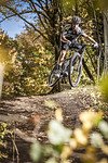 Cannondale Tramount Action 2